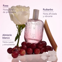 CAUDALIE AGUA FRESCA ROSE DE VIGNE 50ML 2