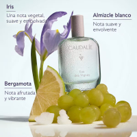 CAUDALIE AGUA FRESCA EAU DES VIGNES 50ML 2