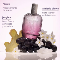CAUDALIE AGUA FRESCA THE DES VIGNES 50ML 2