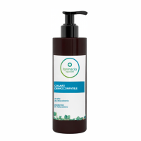 AGUACATE CHAMPU DERMOCOMPATIBLE 400 ML