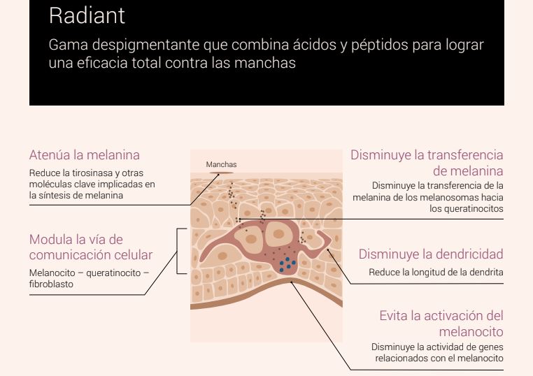 gama-radiant-singuladerm.JPG