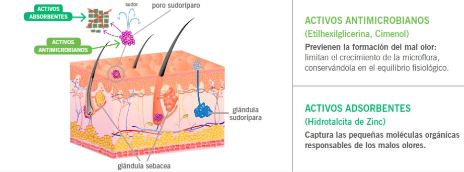 pruebas-de-eficacia-roll-on-piel-sensible-farmacia-aguacate.JPG